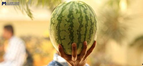 娱乐圈大瓜可以吃吗,揭秘明星幕后故事，一网打尽娱乐热点